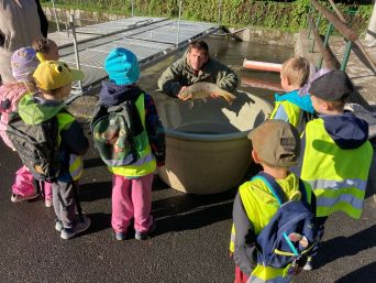 image-picker-ffce18bb-23b1-4453-a7e9-2eed616fecc1-9194-00000f4388fb7fd2_800.1727691669