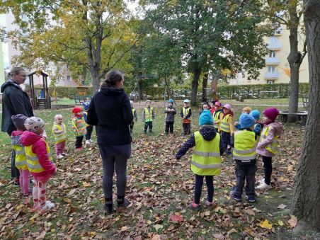 scaled-1000000045_806.1728559022