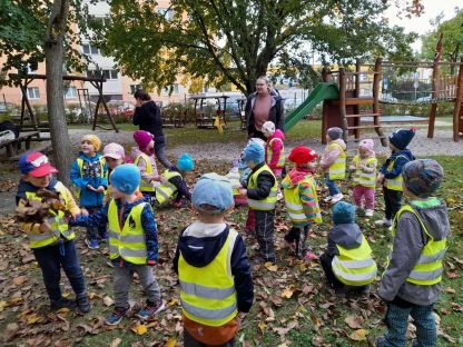 scaled-1000000048_970.1728559022