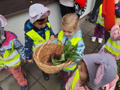 scaled-20240917-101353_324.1726570999